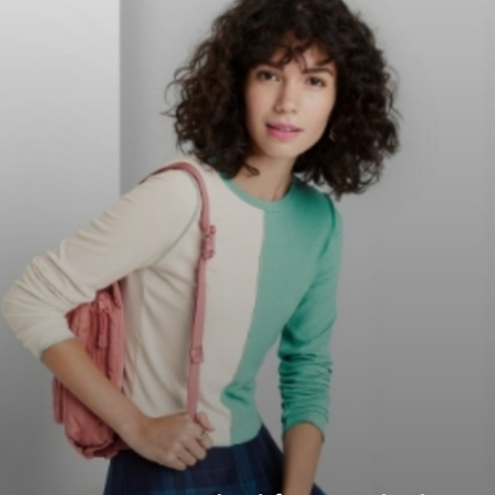 Wild Fable Colorblock Sweater - Cream and Green